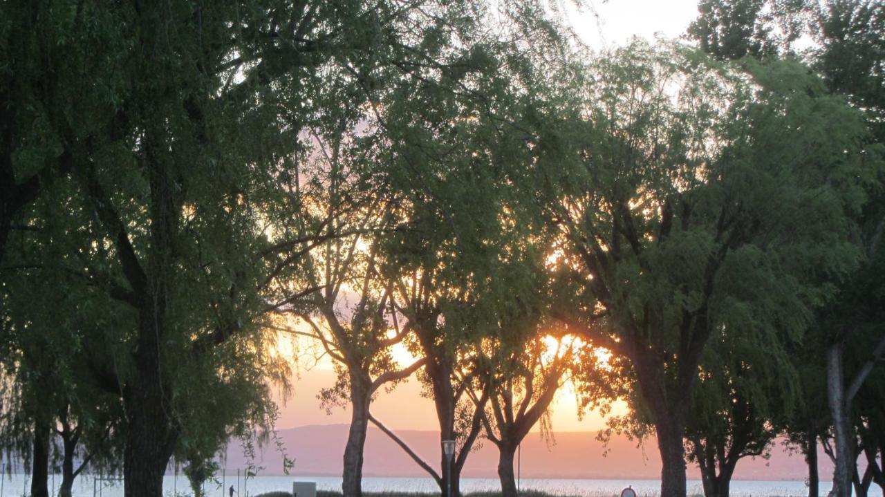 Appartement Am See Podersdorf am See Ngoại thất bức ảnh